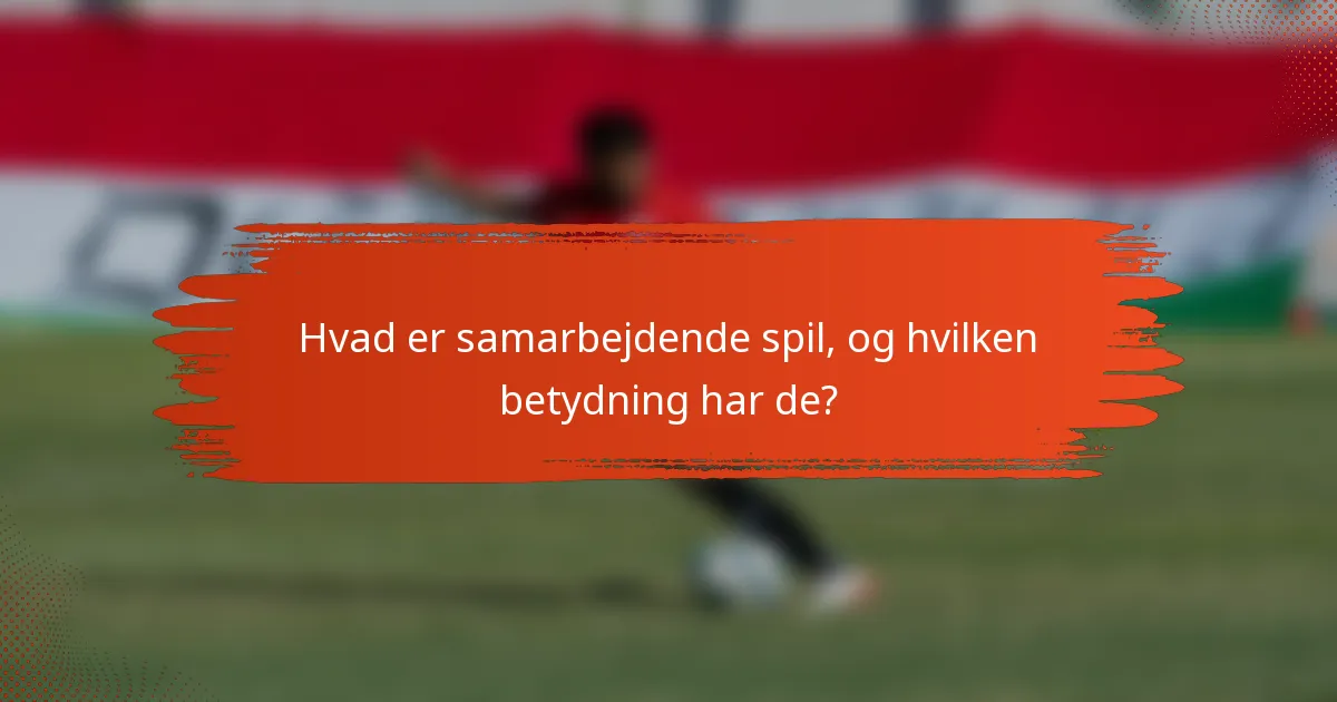 Hvad er samarbejdende spil, og hvilken betydning har de?